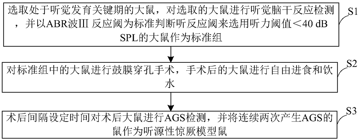 Method for establishing audiogenic seizure (AGS) model based on perforation of tympanic membrane