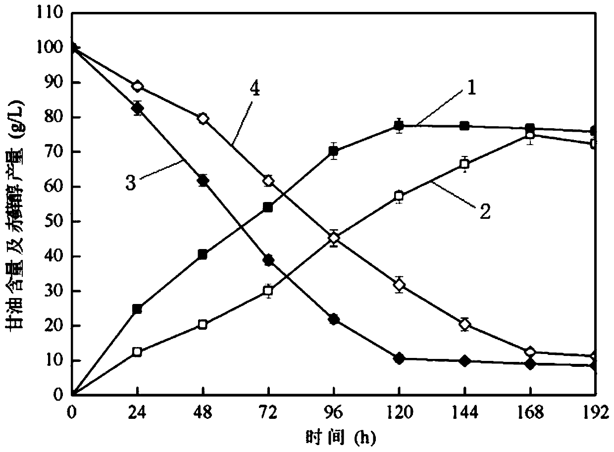 Recombinant yeast strain for fermenting erythritol under high nitrogen condition, construction method and application thereof