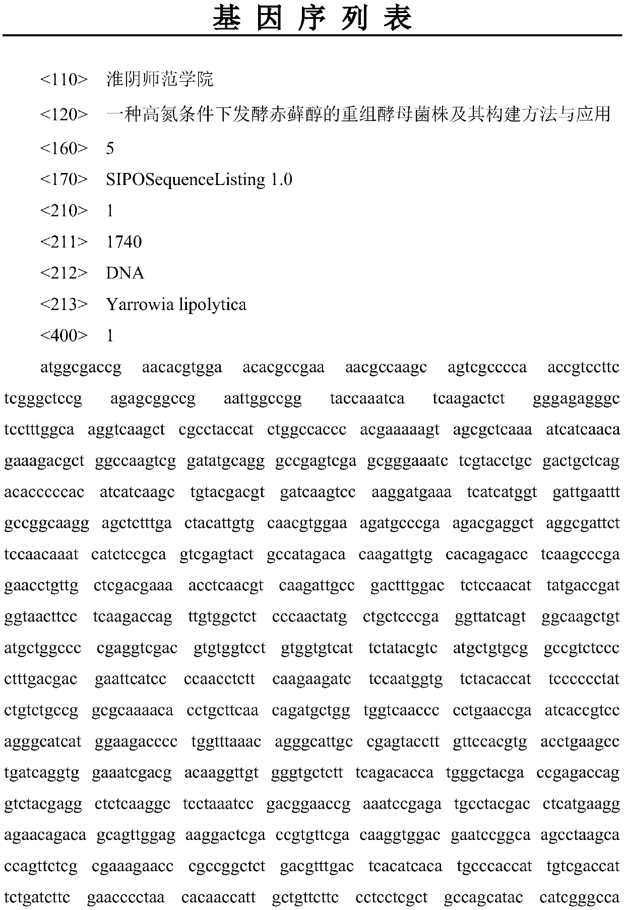 Recombinant yeast strain for fermenting erythritol under high nitrogen condition, construction method and application thereof