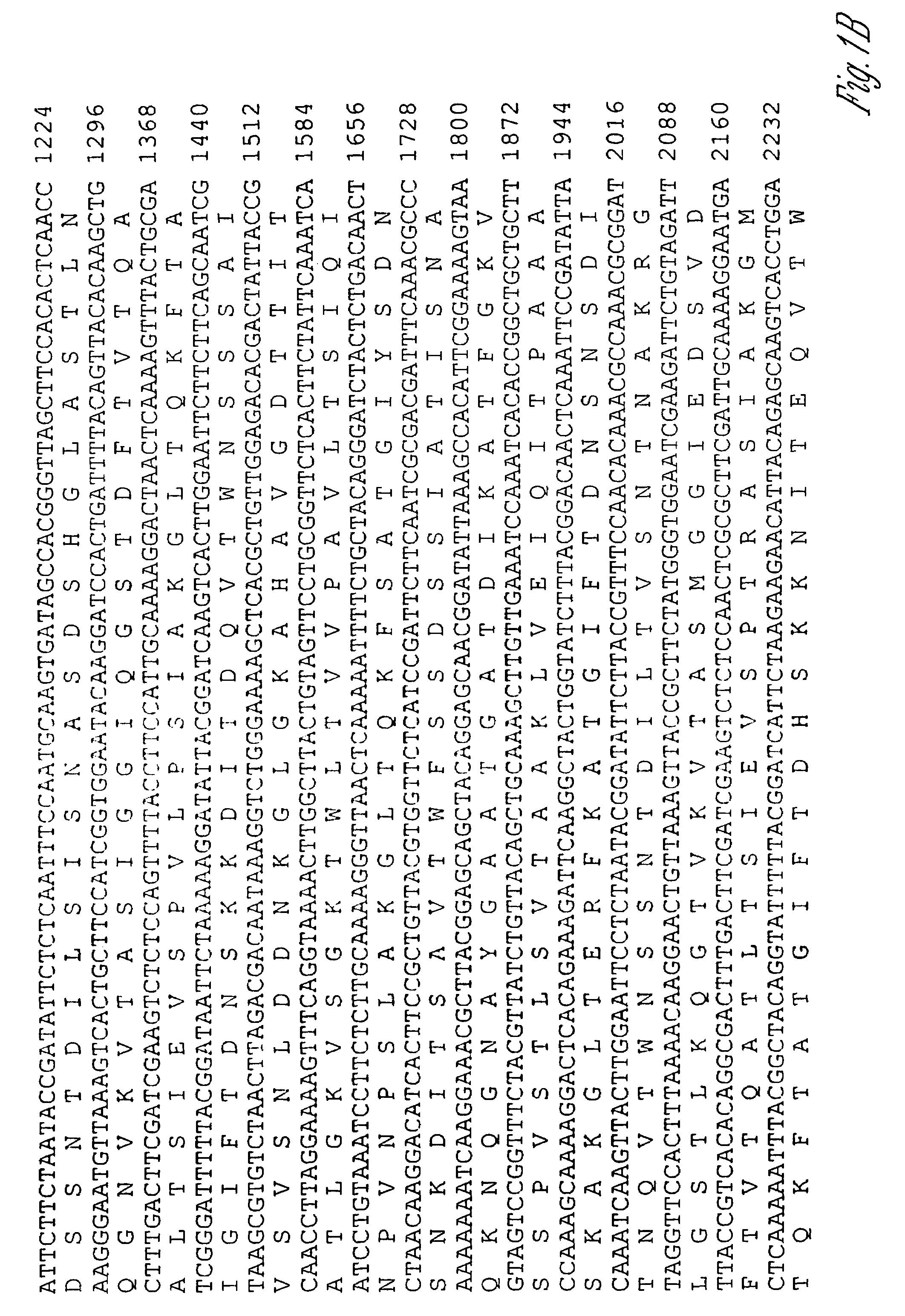 Immunogenic proteins of <i>Leptospira</i>