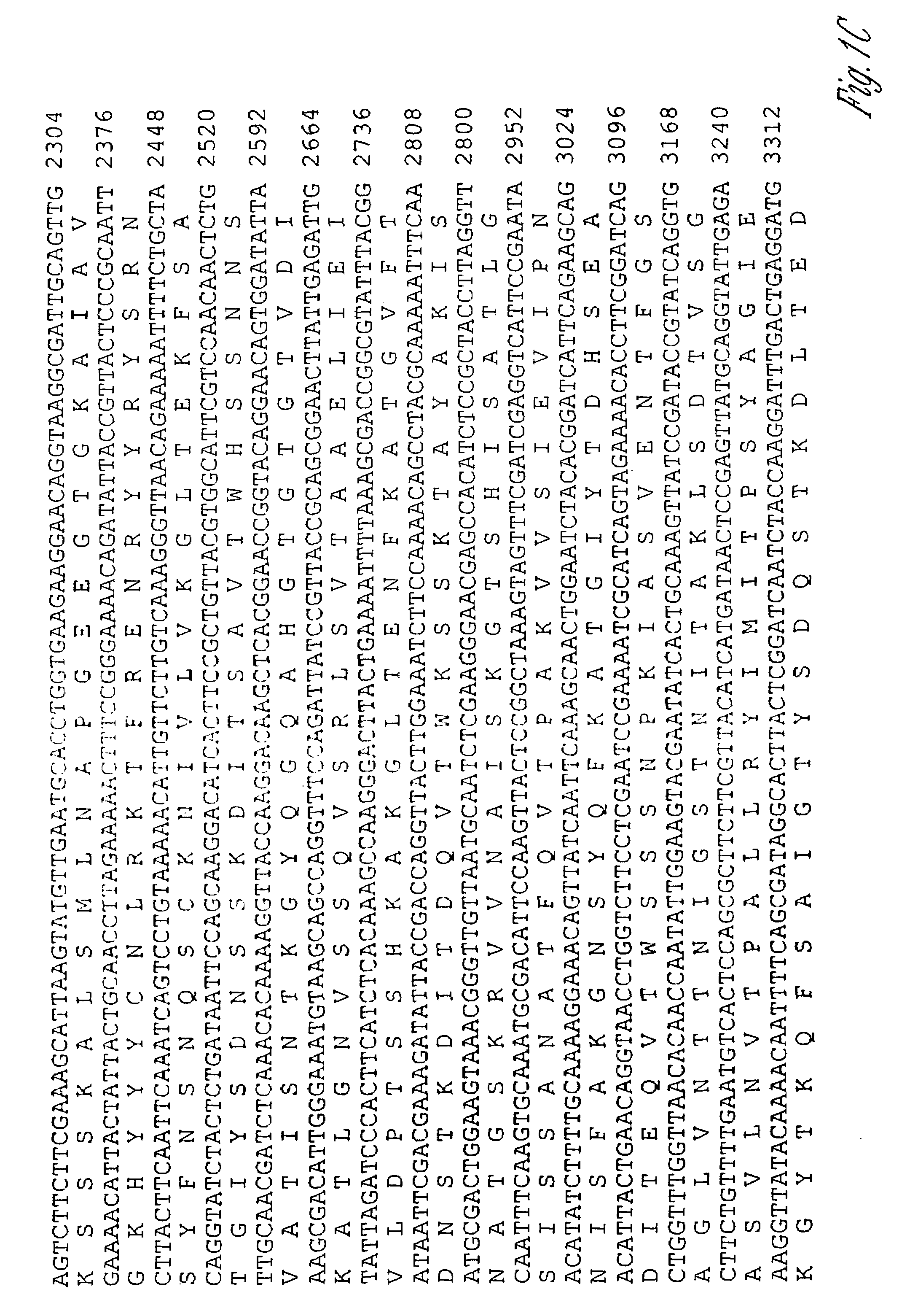 Immunogenic proteins of <i>Leptospira</i>