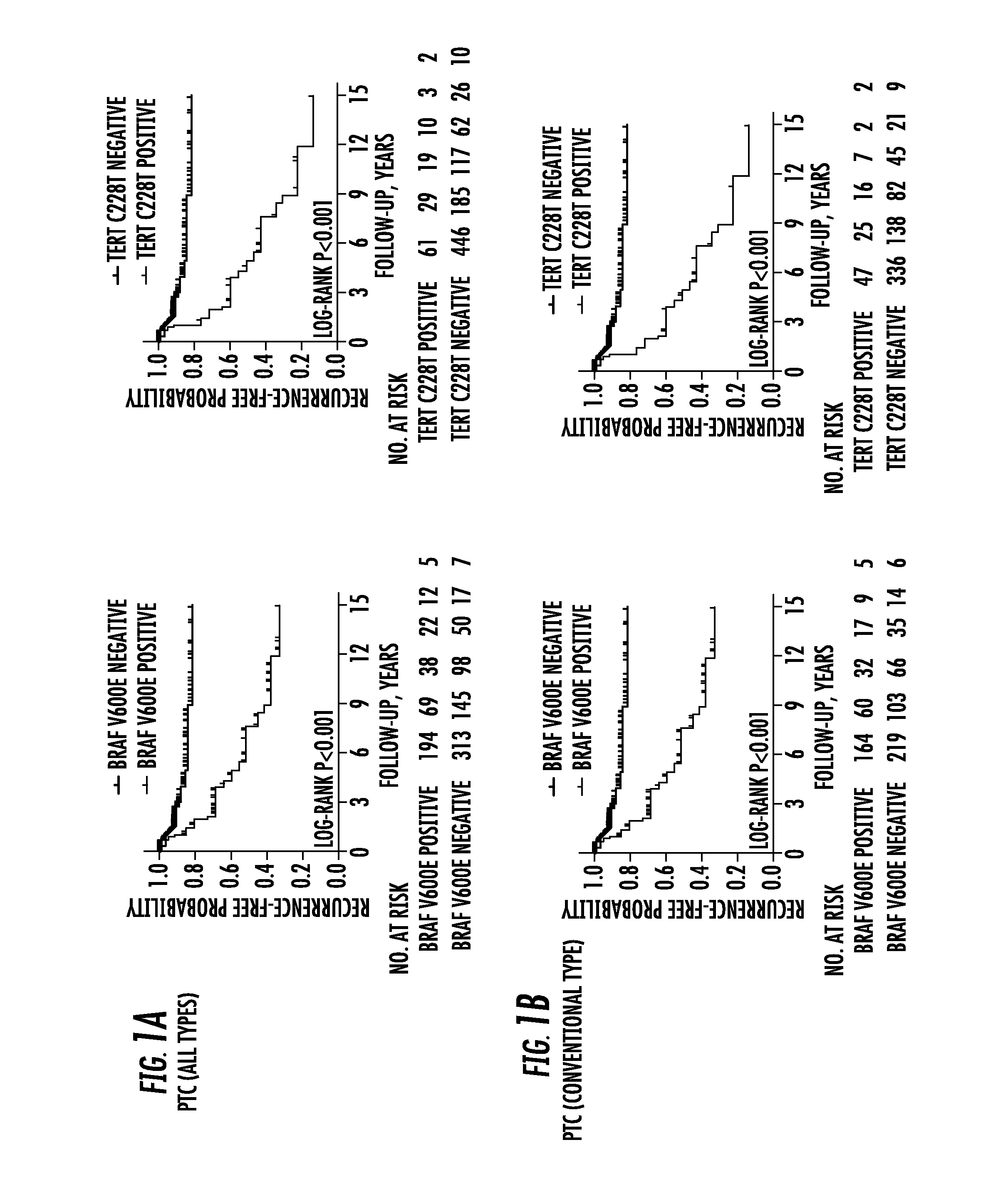 Tert and braf mutations in human cancer