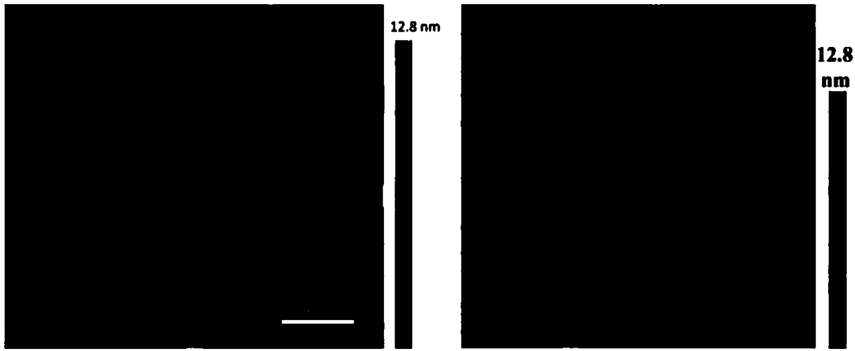 Cellulose/layered boron nitride high-dielectric nano-composite film and preparation method thereof