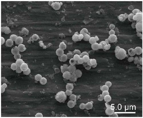 A core-shell cos2@ng nanocomposite material and its preparation and application