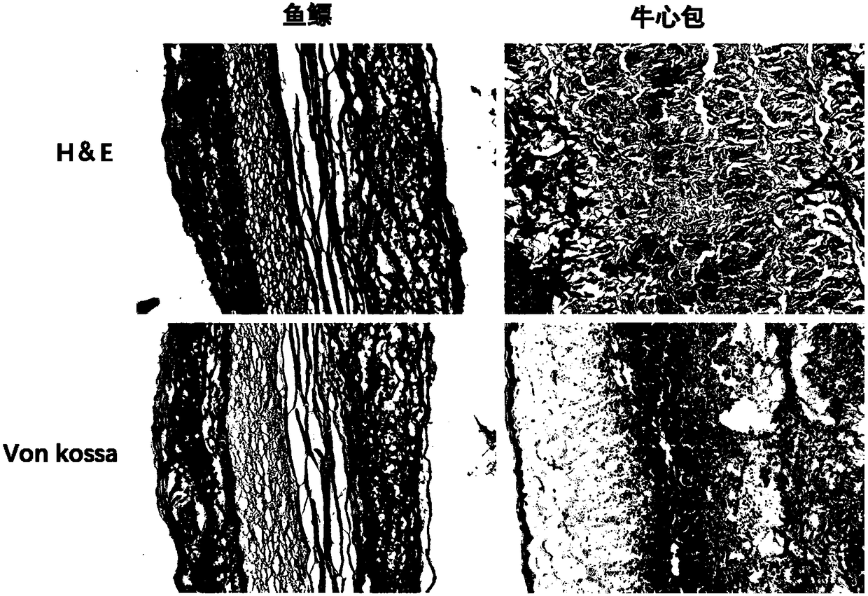 Swim bladder source biological valve material as well as preparation method and application thereof