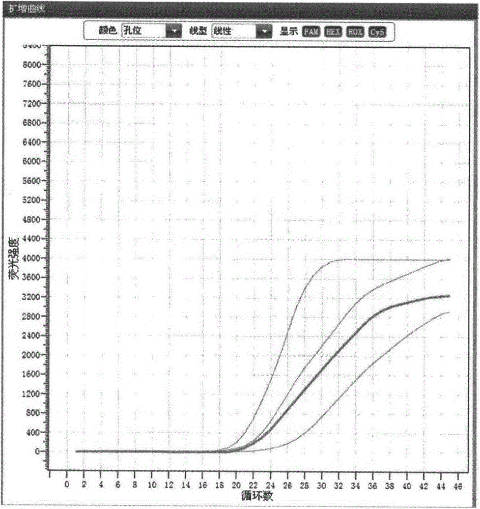 Fluorescent PCR (polymerase chain reaction) kit and method for detecting 13 subtypes of human papillomavirus