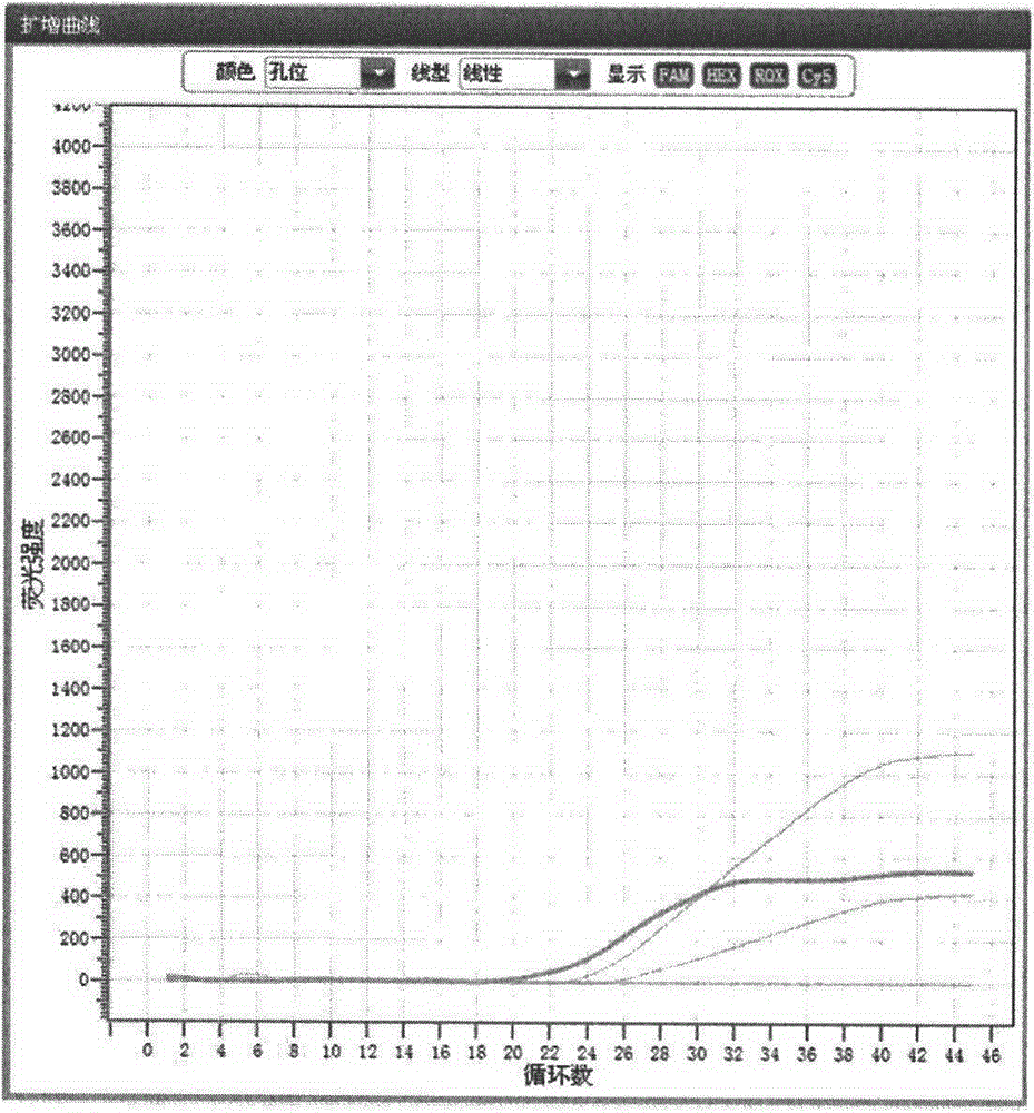 Fluorescent PCR (polymerase chain reaction) kit and method for detecting 13 subtypes of human papillomavirus