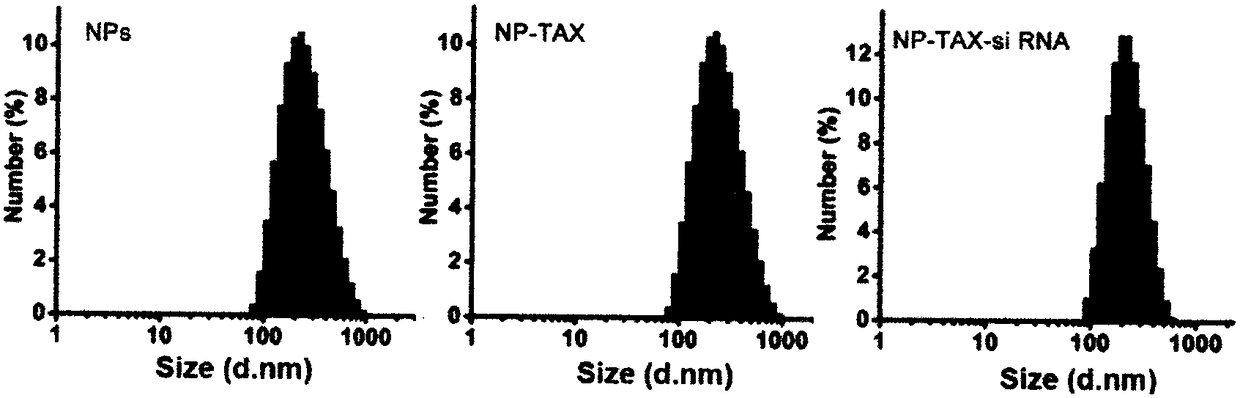 Preparation method of tumor targeted nanoparticle carrier co-loaded with breast cancer chemotherapeutic drug MTDH siRNA