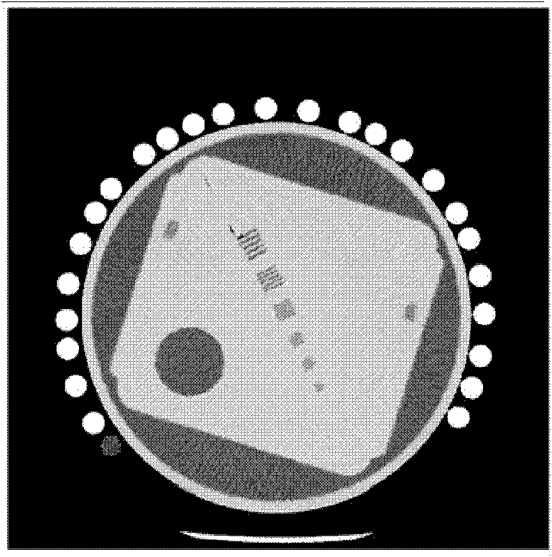 Method for reconstructing low-dose CT images based on redundant information of standard dose images