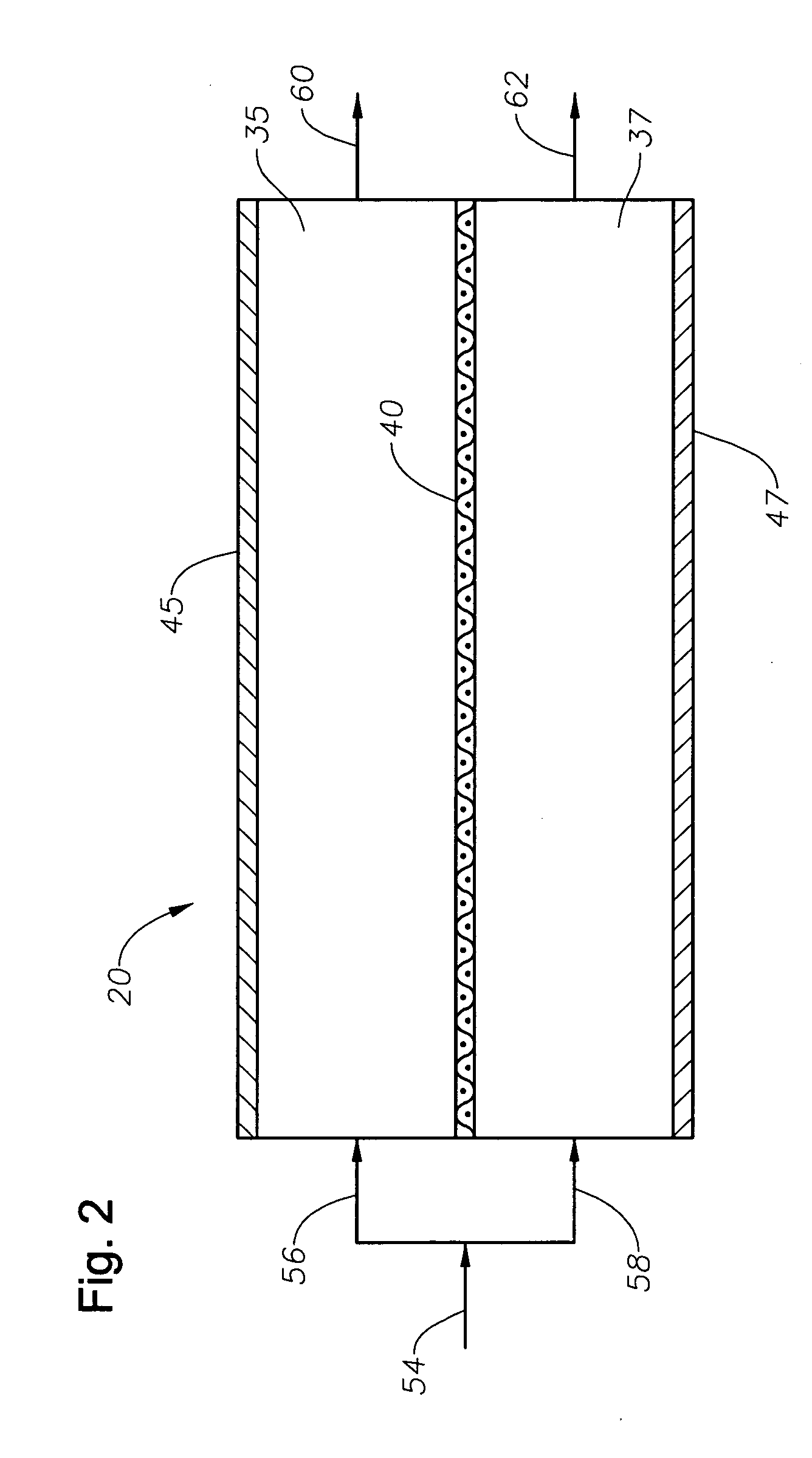 Apparatus and method for producing electrolyzed water