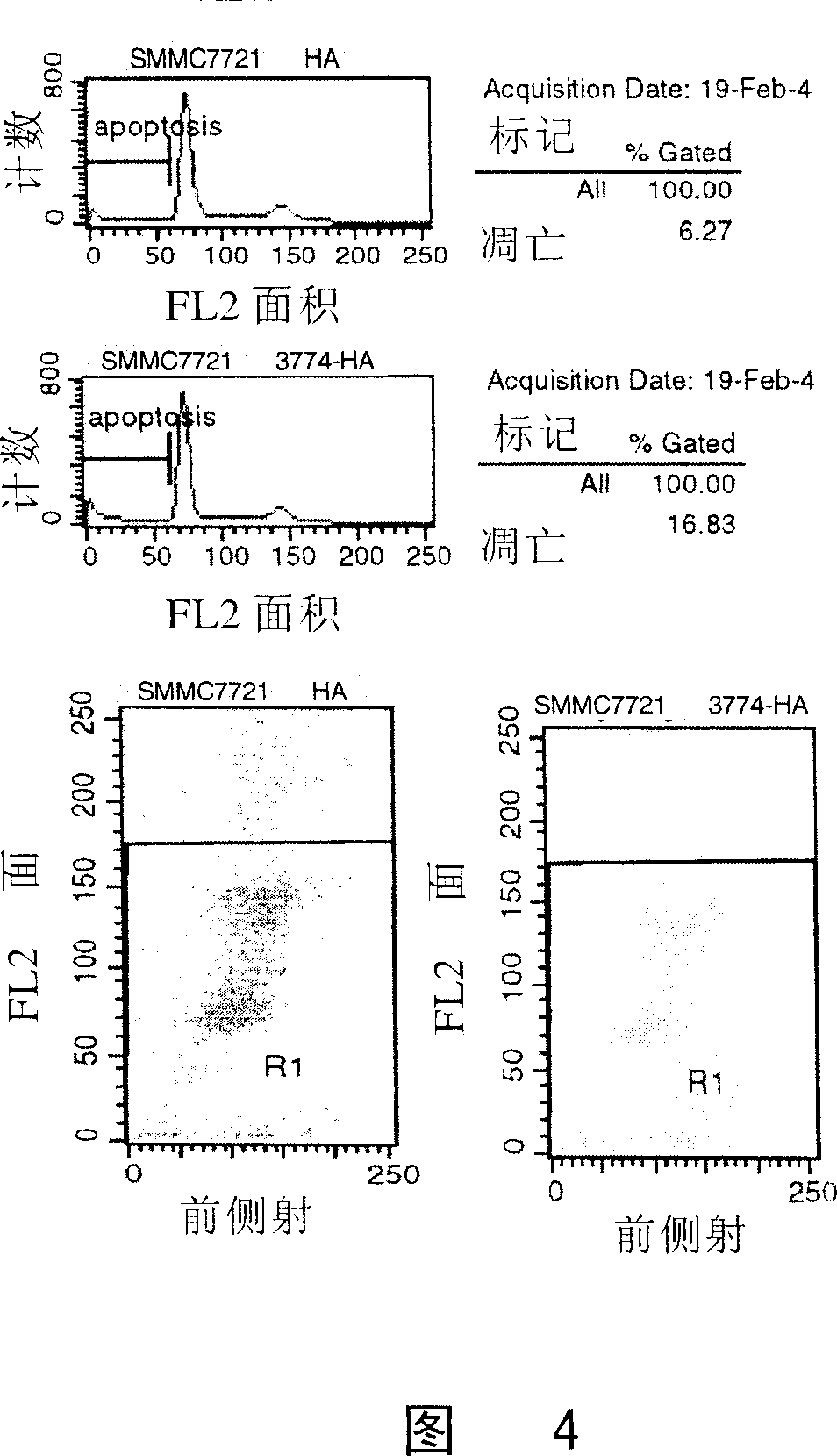 Use of pp3774 gene in inhibiting cell growth