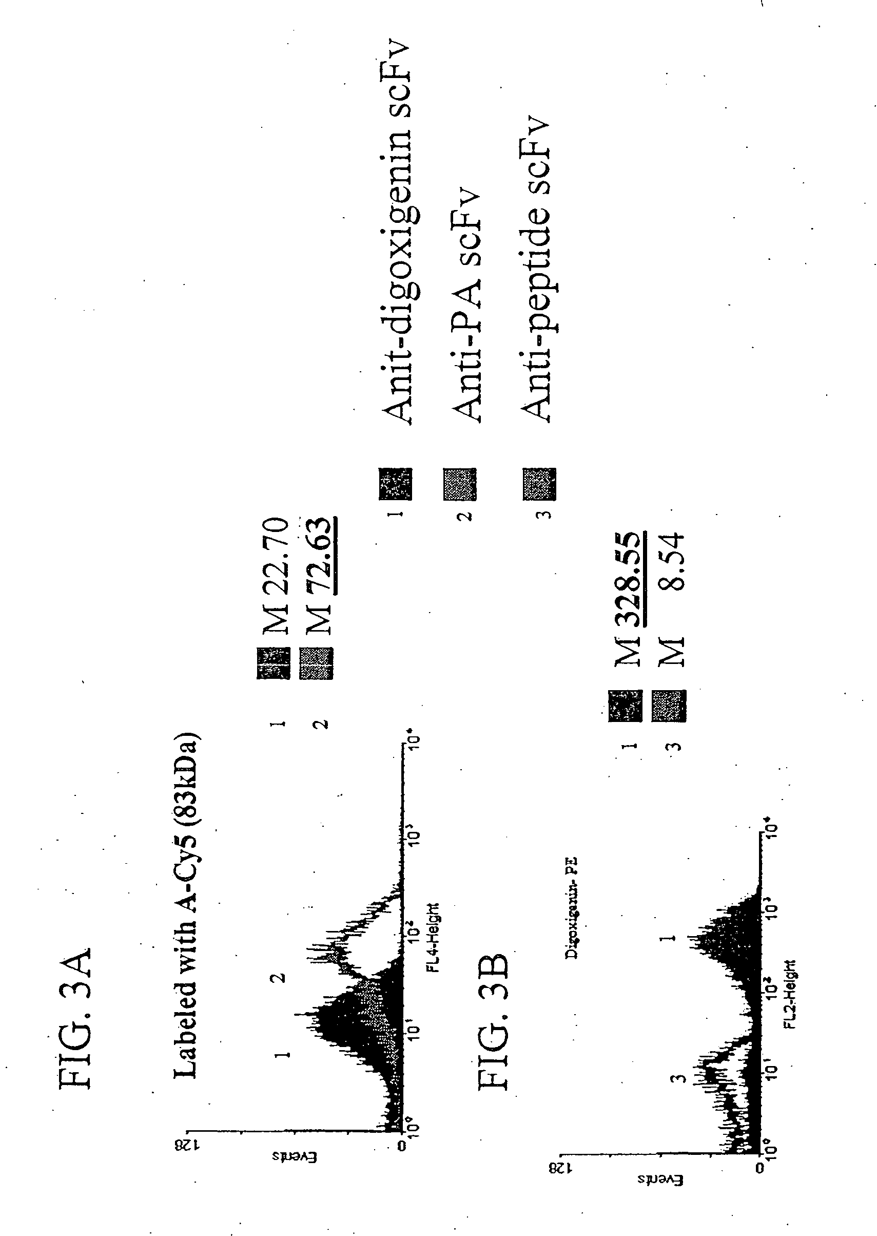 Combinatorial protein library screening by periplasmic expression