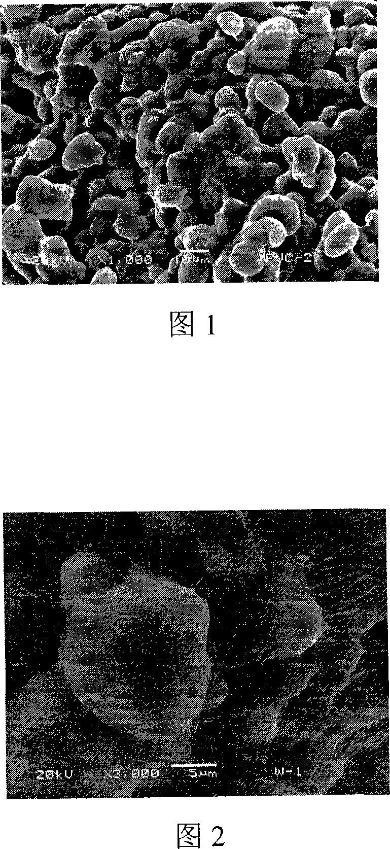 Method of semi-vitreous extrusion molding manufacturing for portiforium type millipore plastics extrusions