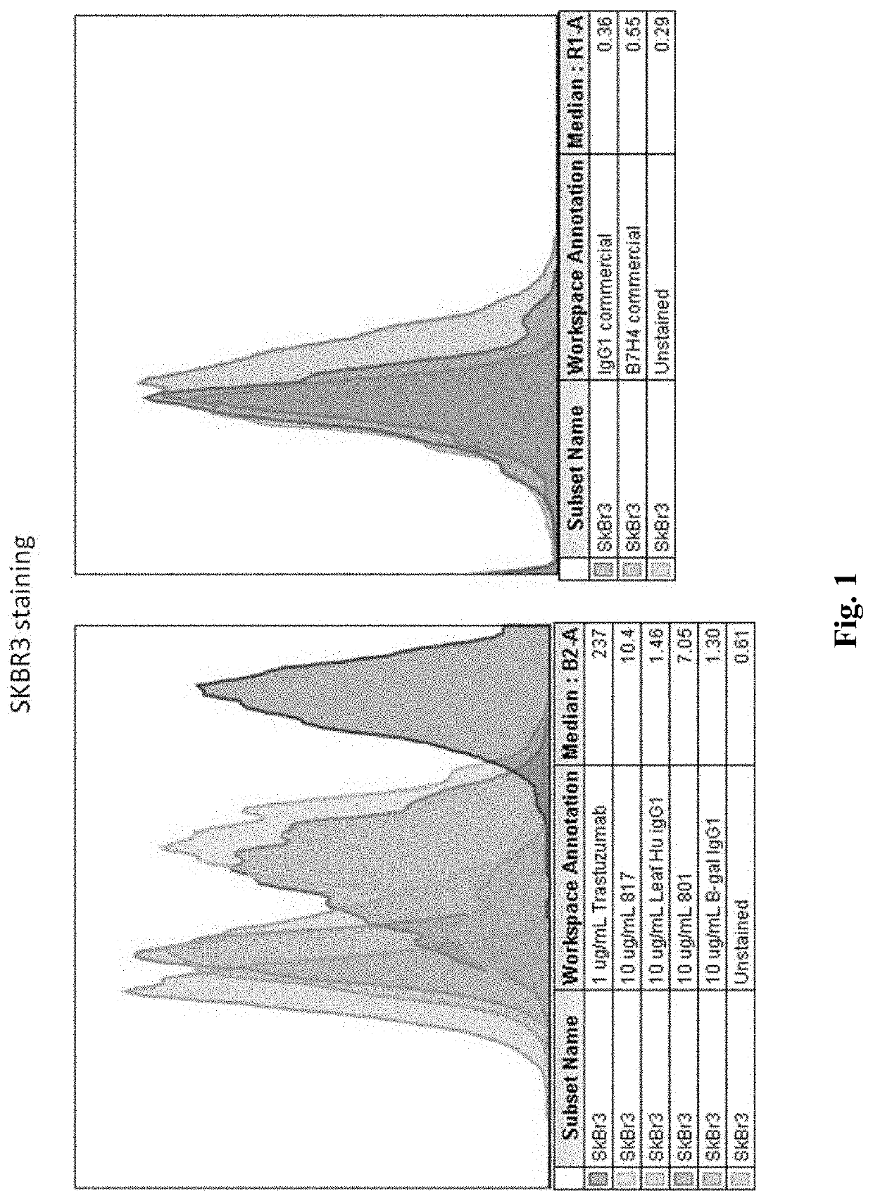 Anti-B7-H4 antibodies and methods