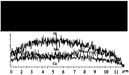 Core-shell structure gradient nickel-cobalt-manganese ternary positive electrode material precursor and preparation method thereof