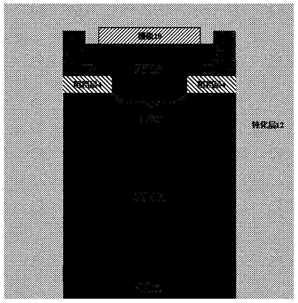 Vertical Power Transistor Based on Arc Drain Plate and Schottky Drain