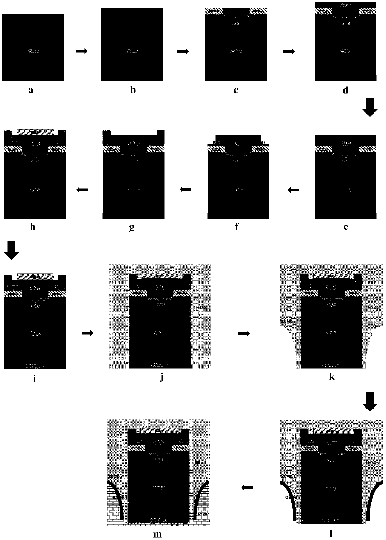 Vertical Power Transistor Based on Arc Drain Plate and Schottky Drain