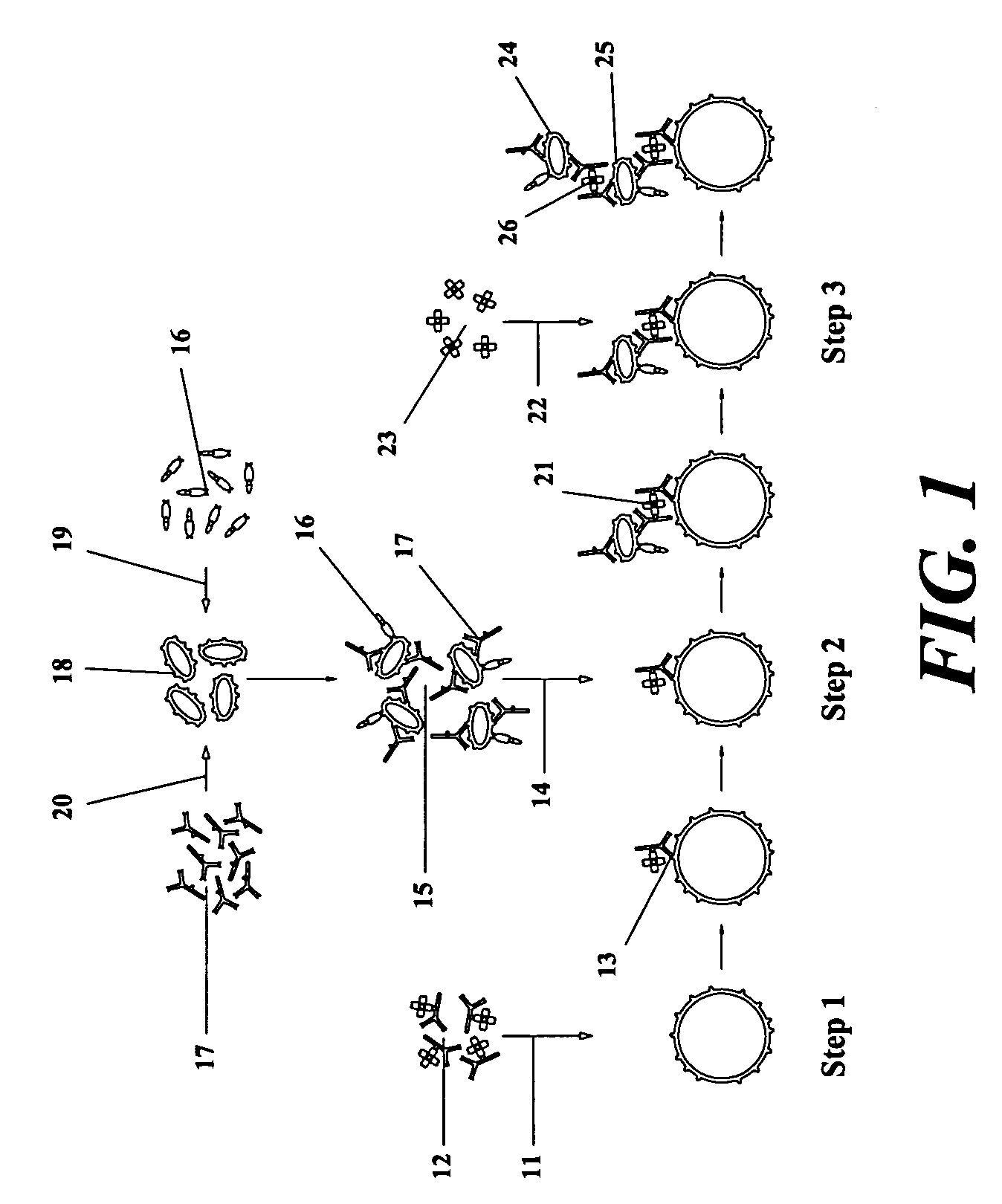 Methods and means for treating solid tumors