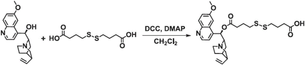 Amphipathic conjugate anti-tumor nano-drug with function of reversing multidrug resistance of tumors and preparation method and application thereof