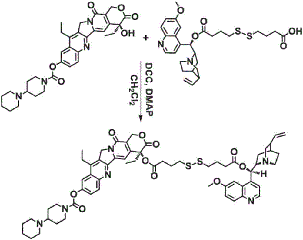 Amphipathic conjugate anti-tumor nano-drug with function of reversing multidrug resistance of tumors and preparation method and application thereof