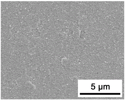 Method of preparing high-oriented MFI type zeolite membrane by virtue of secondary growth under neutral condition