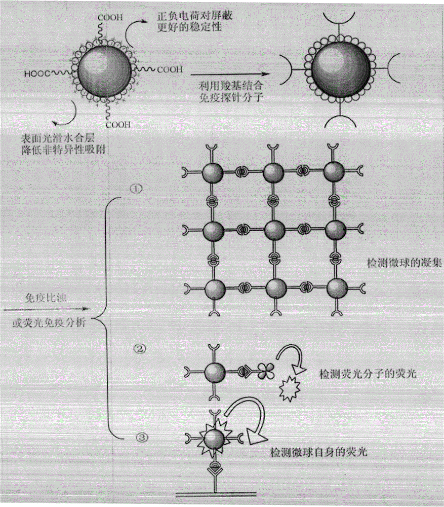 Zwitterionic polymer microspheres and preparing method thereof