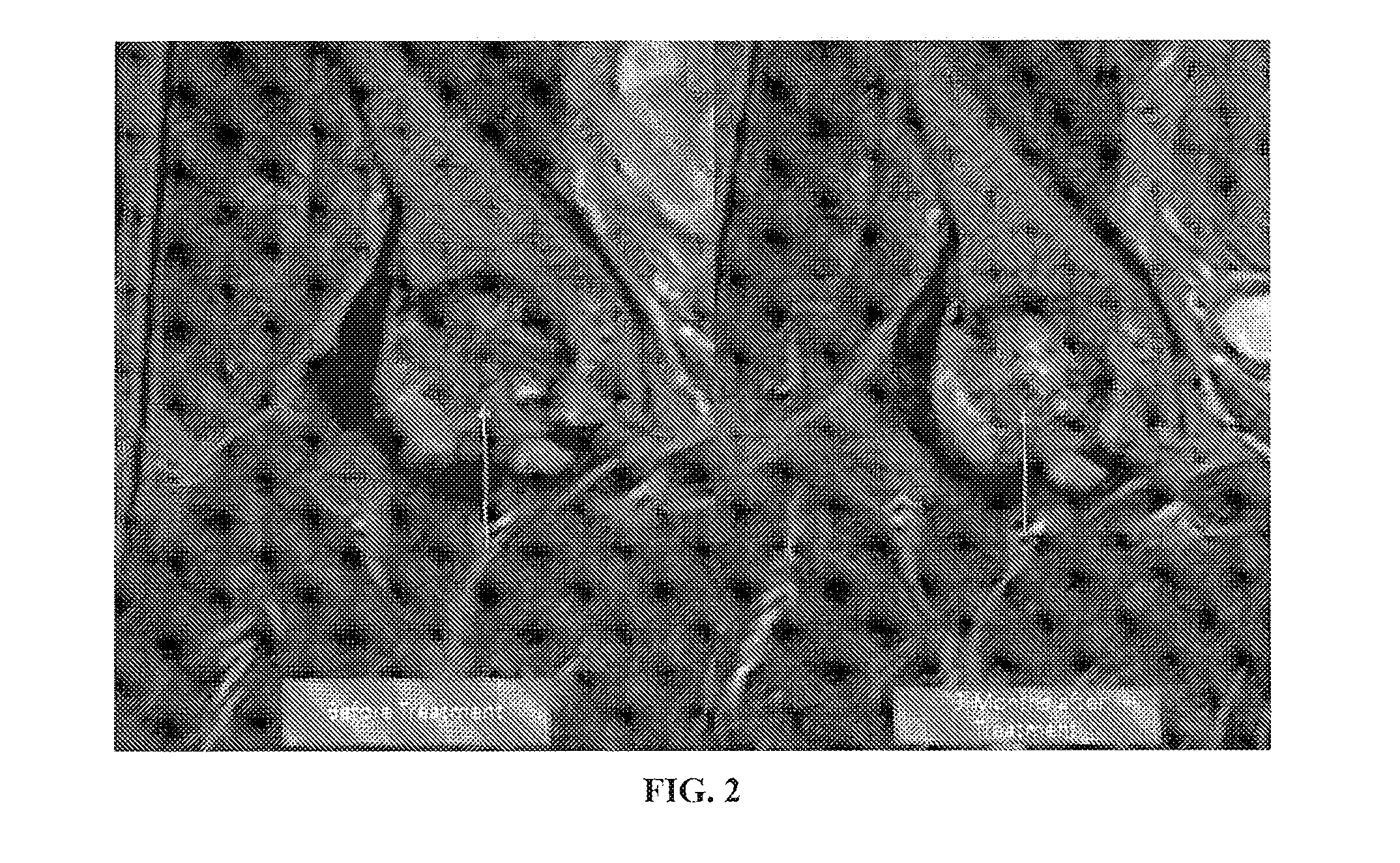 Methods and compositions for the treatment, prevention, and alleviation of bone and cartilage diseases or injuries and hair loss