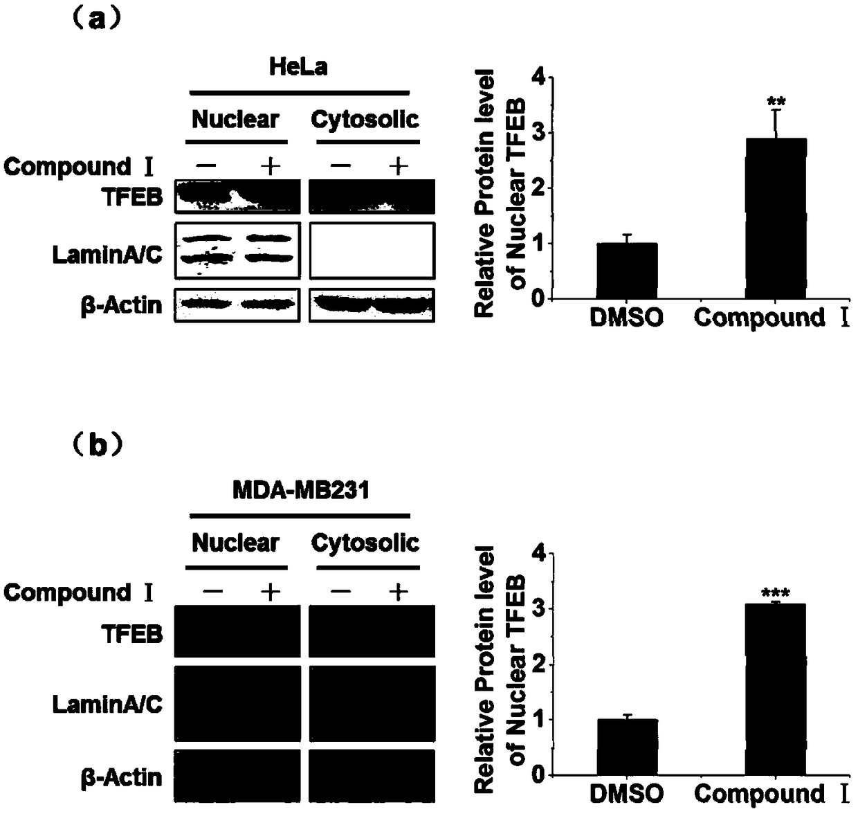 New use of citrate compounds