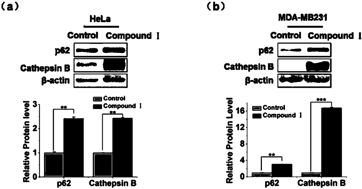 New use of citrate compounds