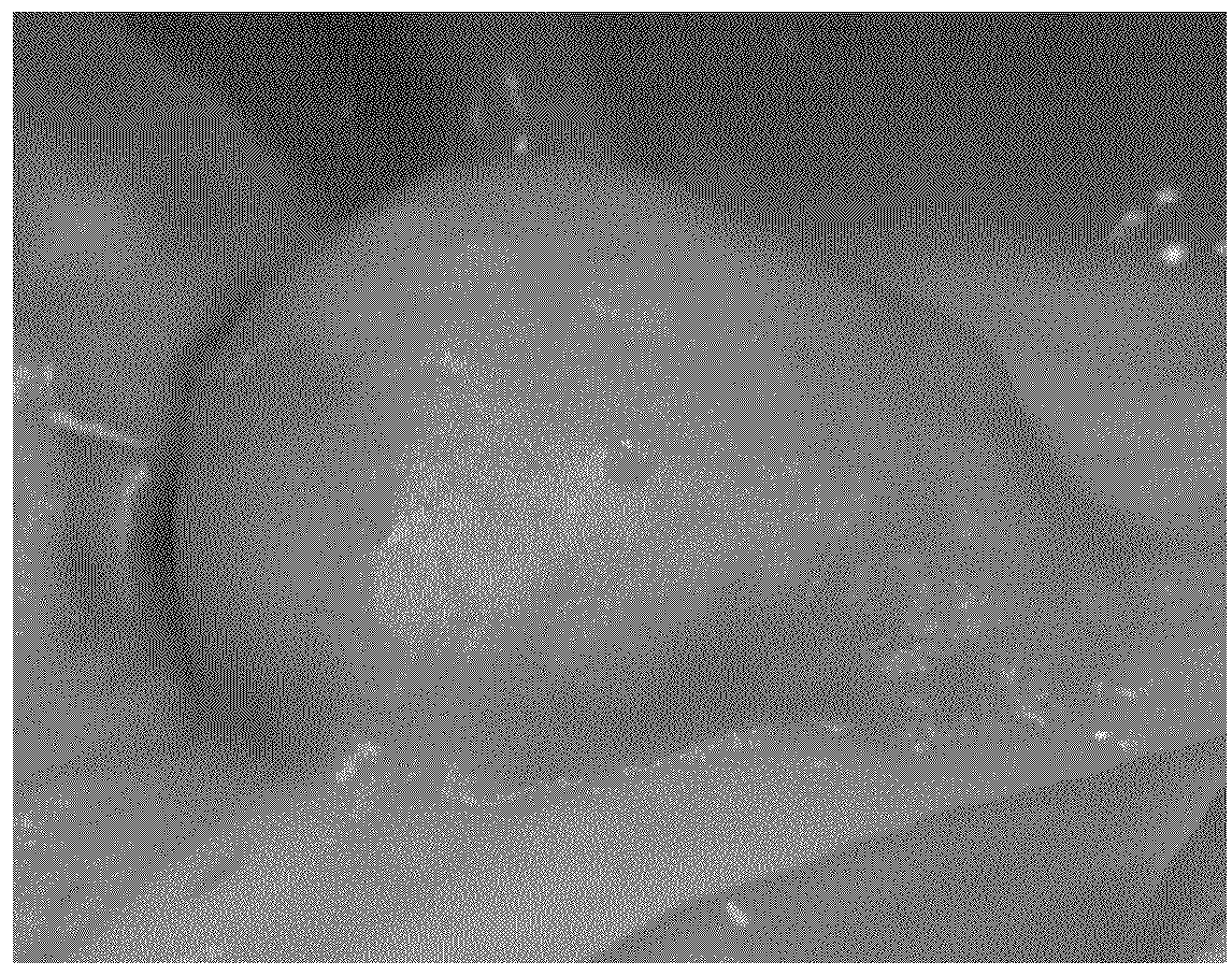 Emulsions or microemulsions for use in endoscopic mucosal resectioning and/or endoscopic submucosal dissection