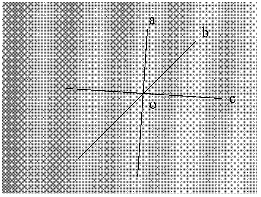 A device for obtaining the width of moiré fringes by using image processing technology