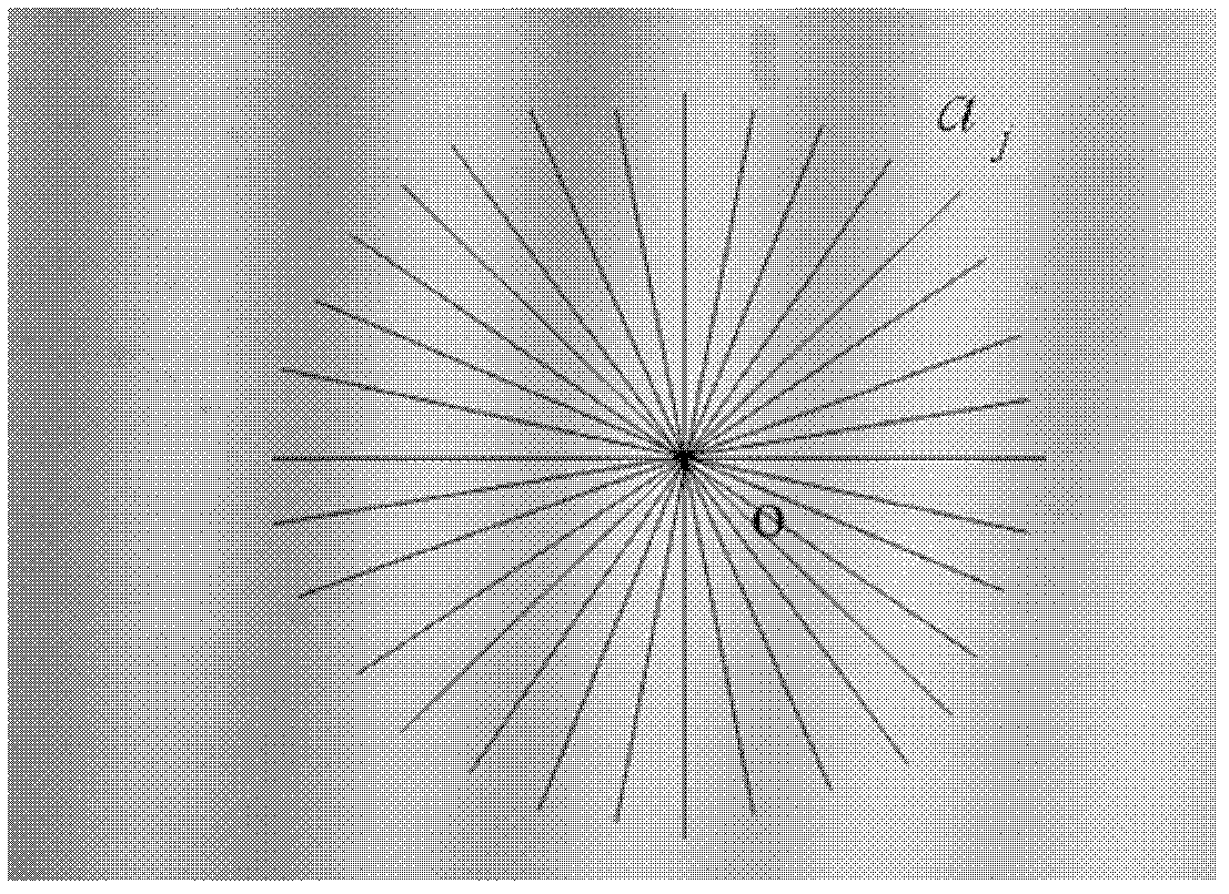 A device for obtaining the width of moiré fringes by using image processing technology