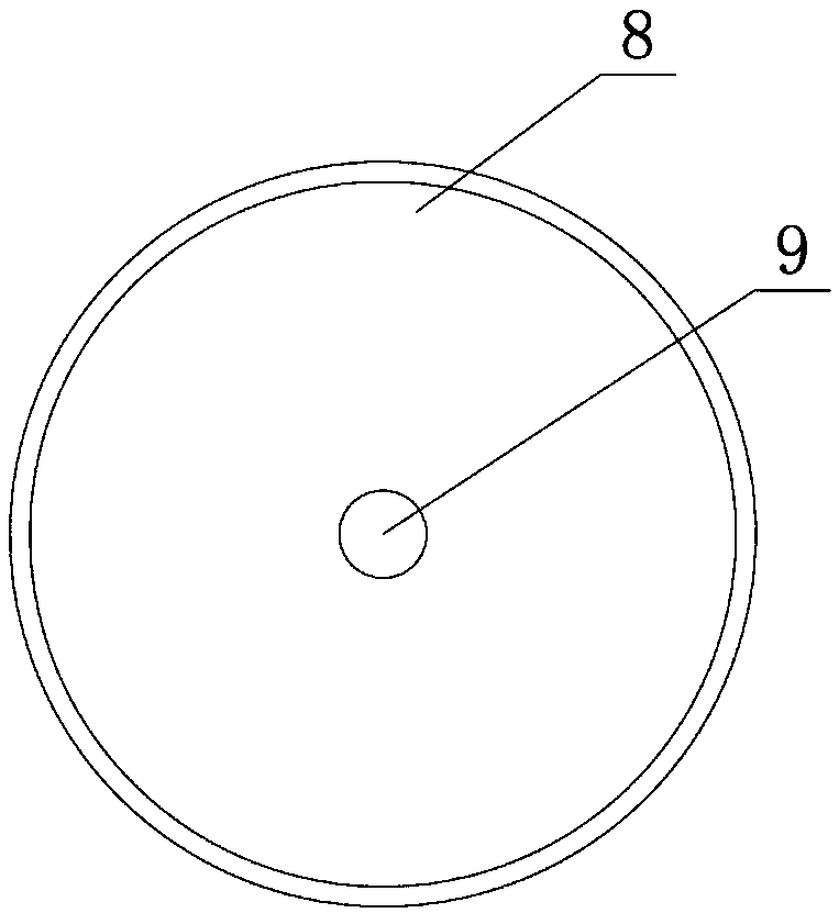 Plodia interpunctella trap