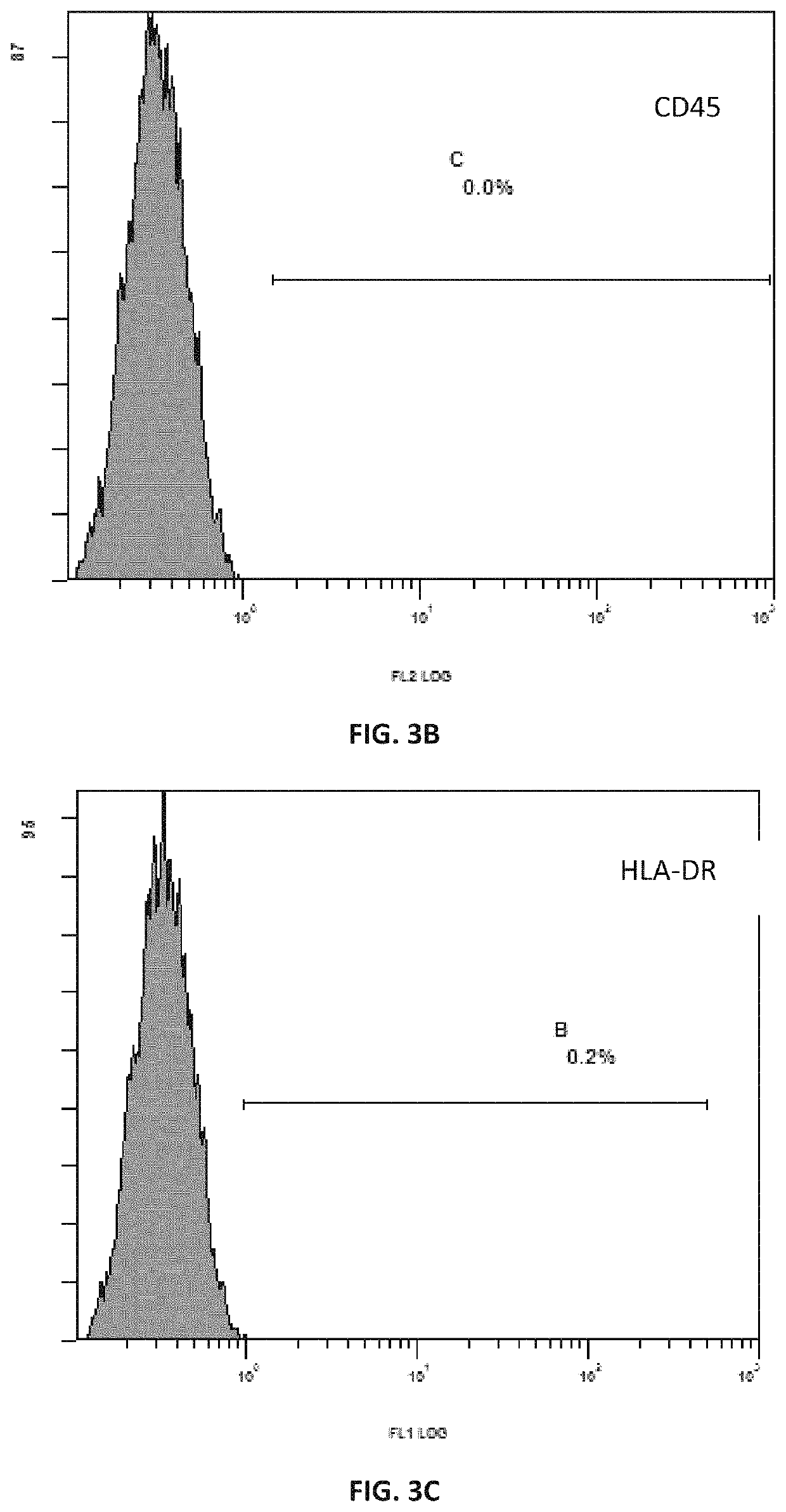 Method for separating and culturing mesenchymal stem cells from Wharton's jelly tissue of umbilical cord