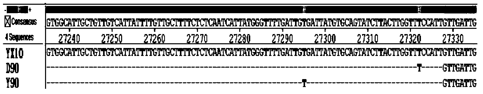 Attenuated method for fowl infectious bronchitis viruses