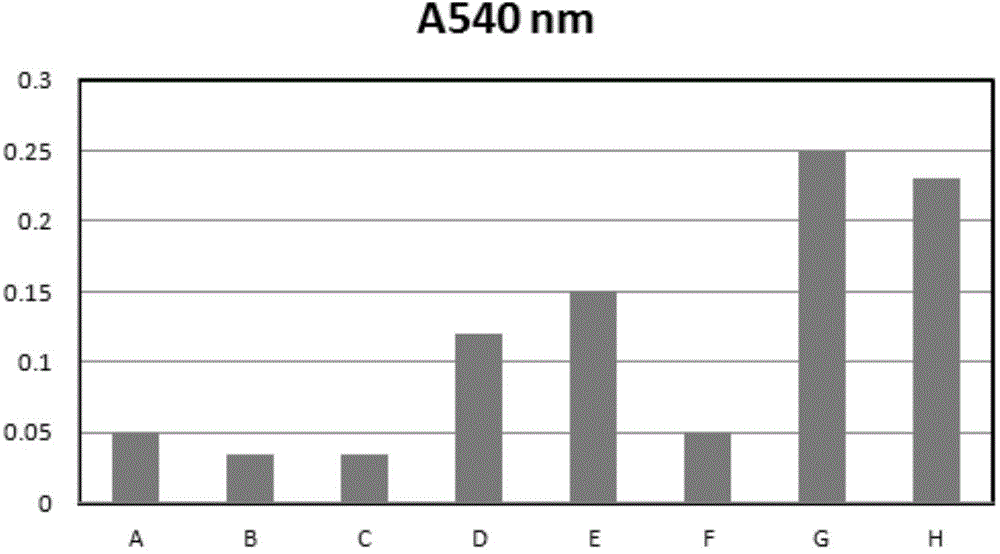 Preparation method for aromatic and bacteriostatic chitosan-based wound dressing