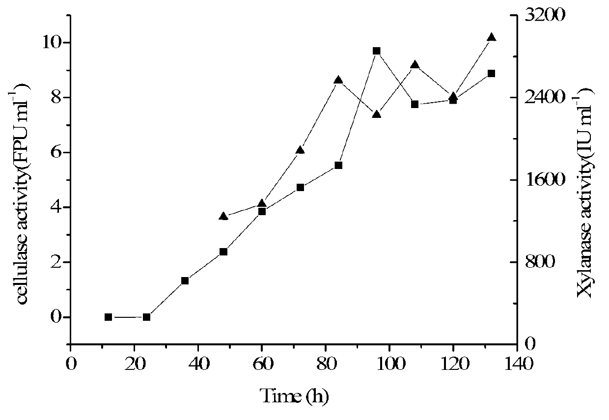 Preparation method for compound enzyme system for high-efficiency degradation for lignocellulose and application thereof