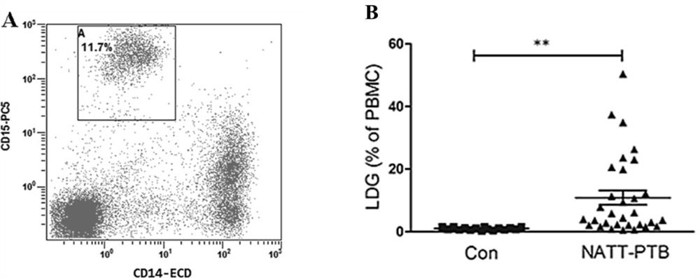 A kit for improving the sensitivity of T-cell test for tuberculosis infection