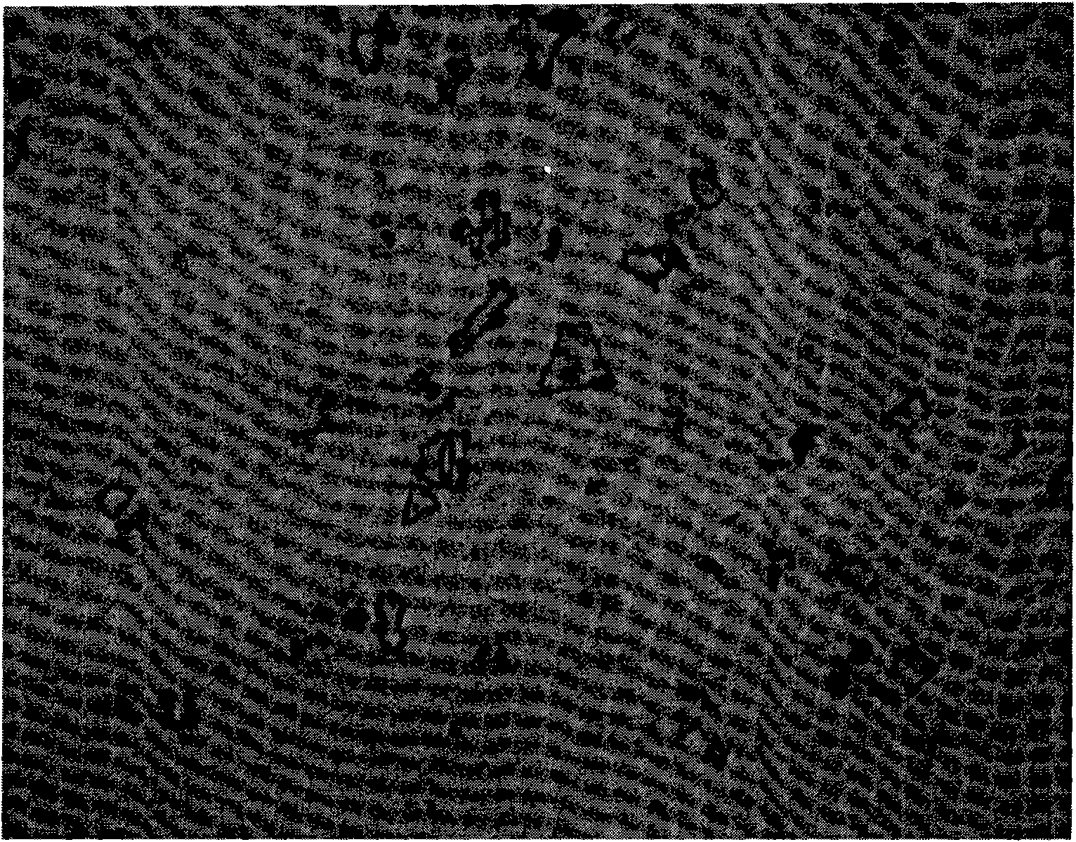 Amorphous alloy metallic phase corrosive agent and metallic phase display method