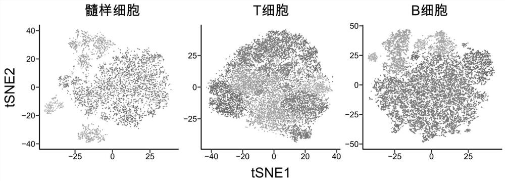 Tumor microenvironment component marker combination and system for predicting nasopharyngeal carcinoma prognosis