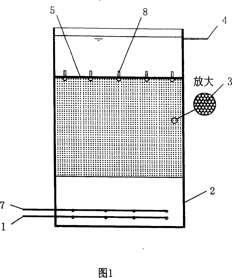 Improved bioreactor