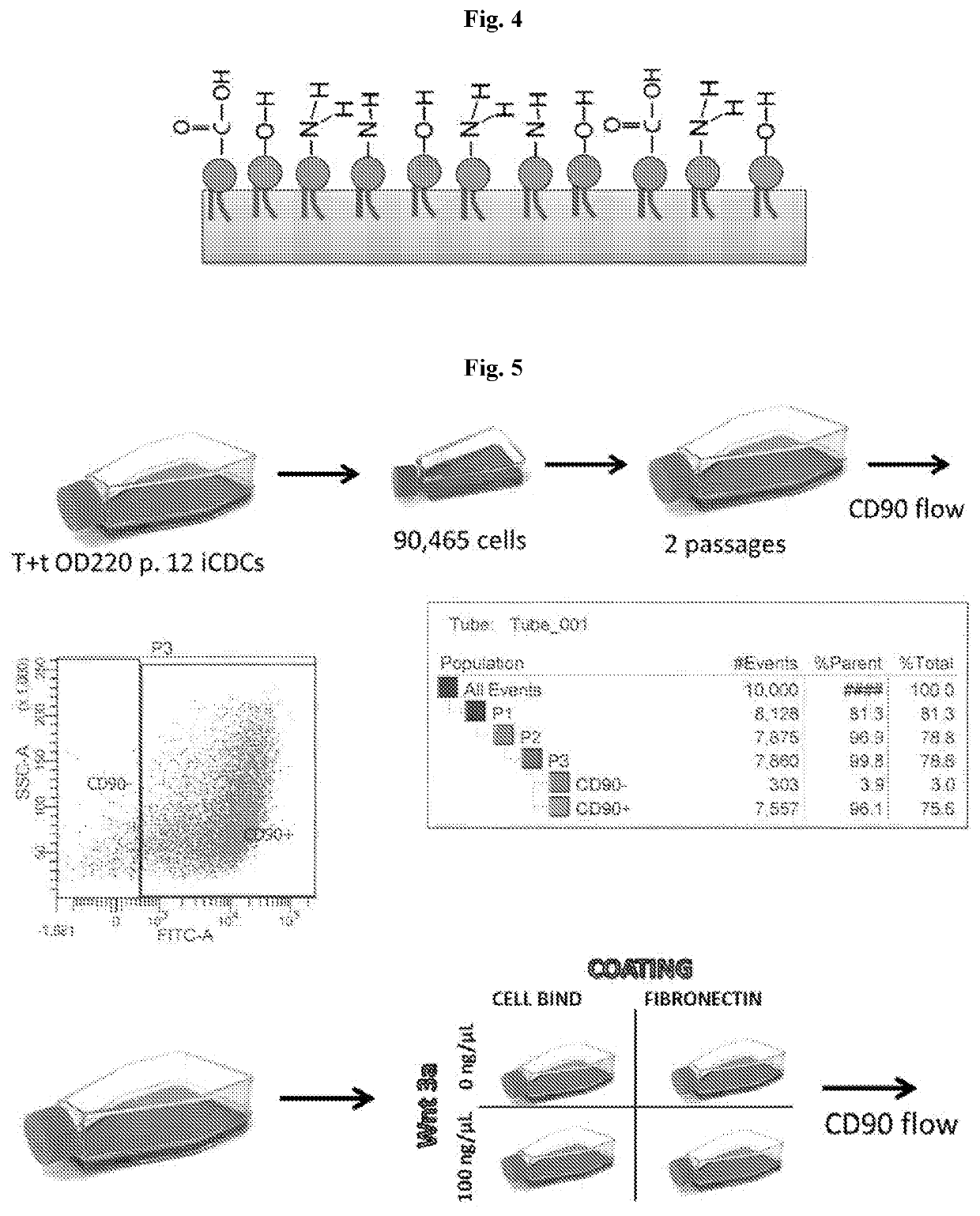 Activation-induced tissue-effector cells suitable for cell therapy and extracelluar vesicles derived therefrom