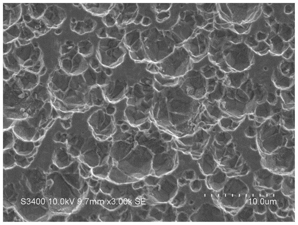 Aqueous composition, method for roughening stainless steel surface in which same is used, roughened stainless steel, and method for manufacturing same