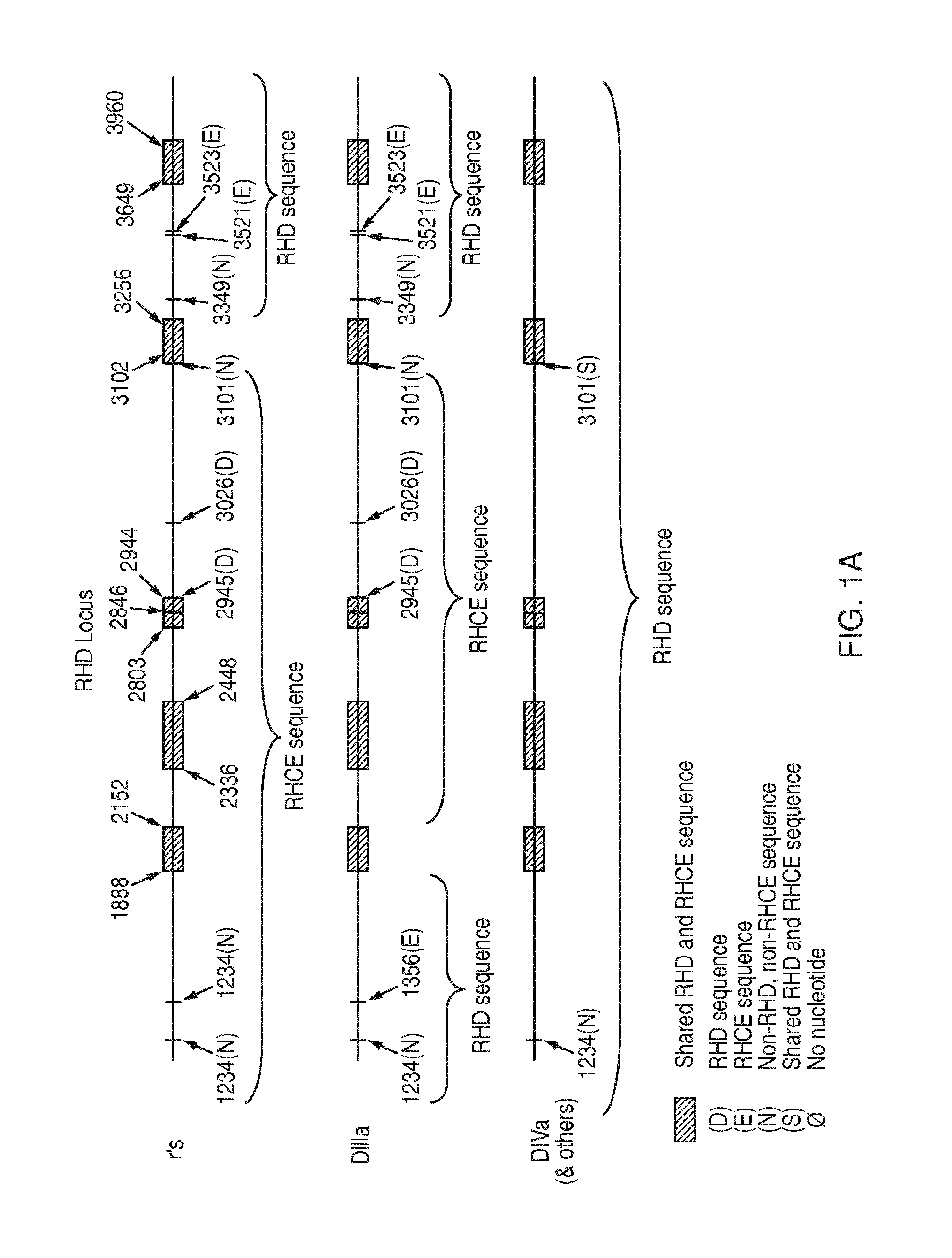 Discrimination of blood type variants