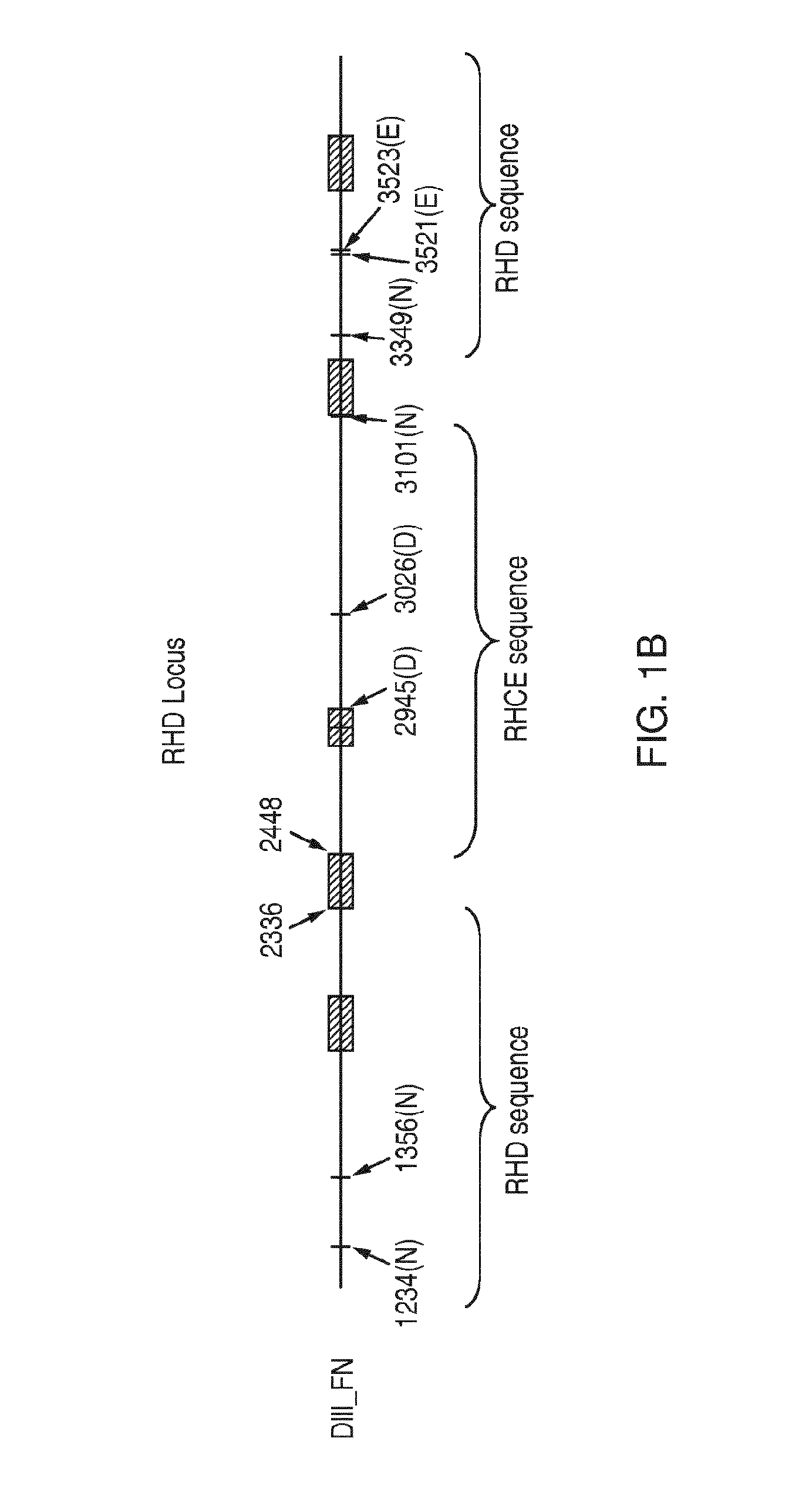 Discrimination of blood type variants