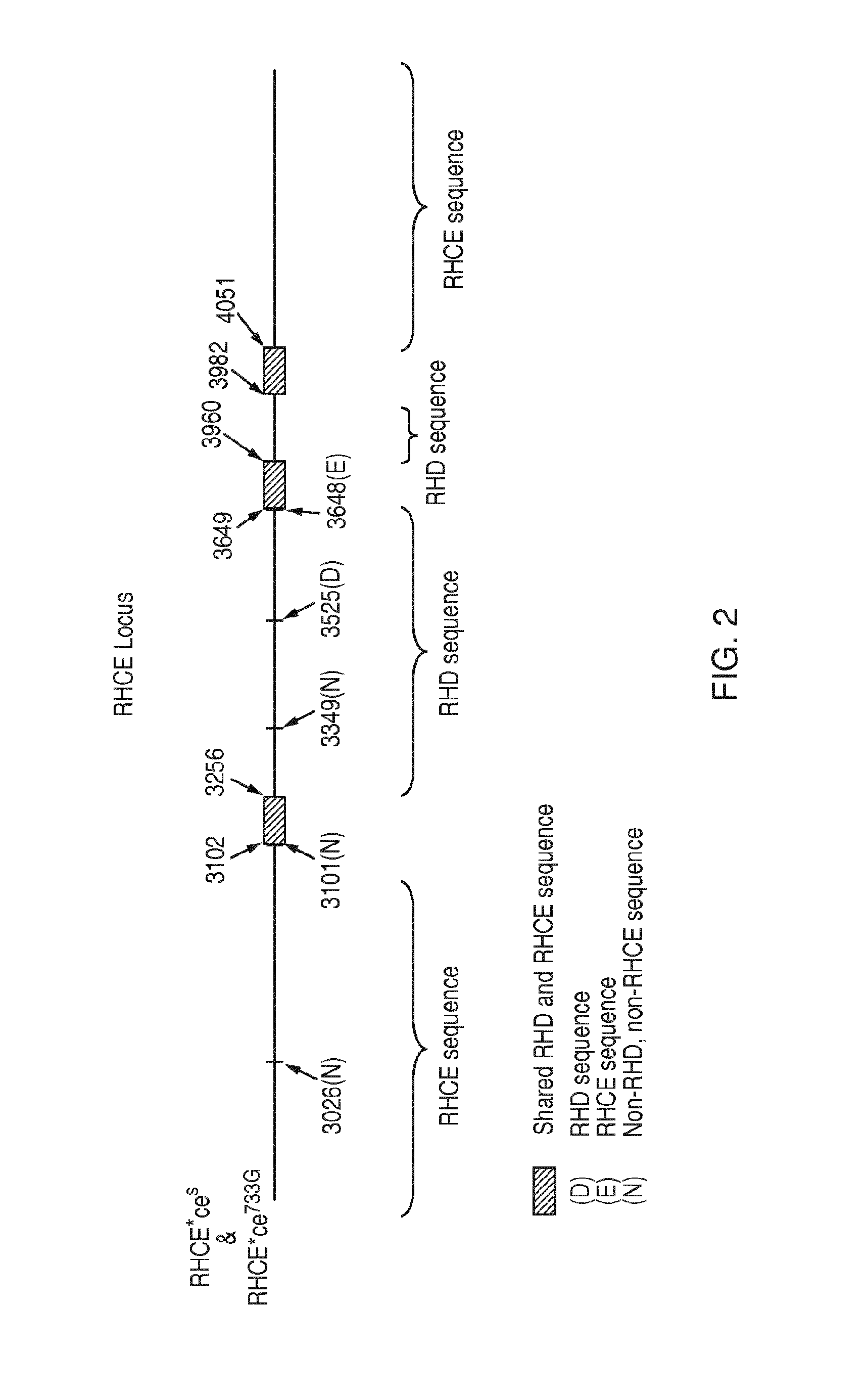 Discrimination of blood type variants