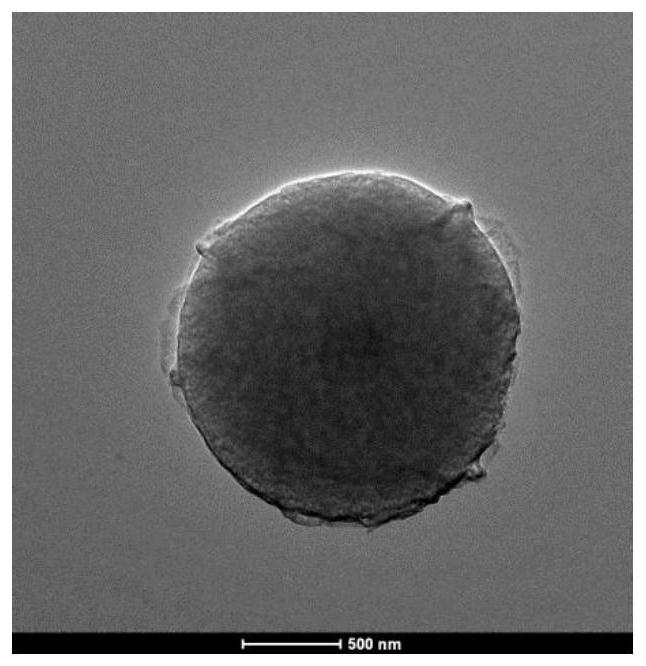 Polymerized Schiff base type adsorption material and preparation thereof, and application in heavy metal adsorption