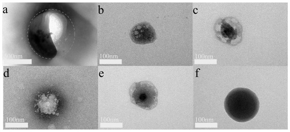 Polymerized Schiff base type adsorption material and preparation thereof, and application in heavy metal adsorption