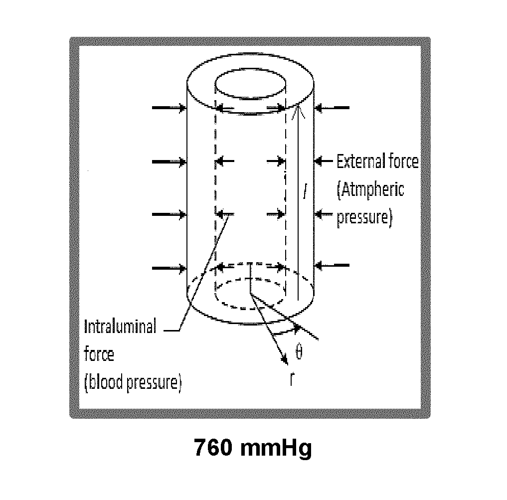 Enhancement of vasodilatory function and lowering of effective systemic vascular resistance