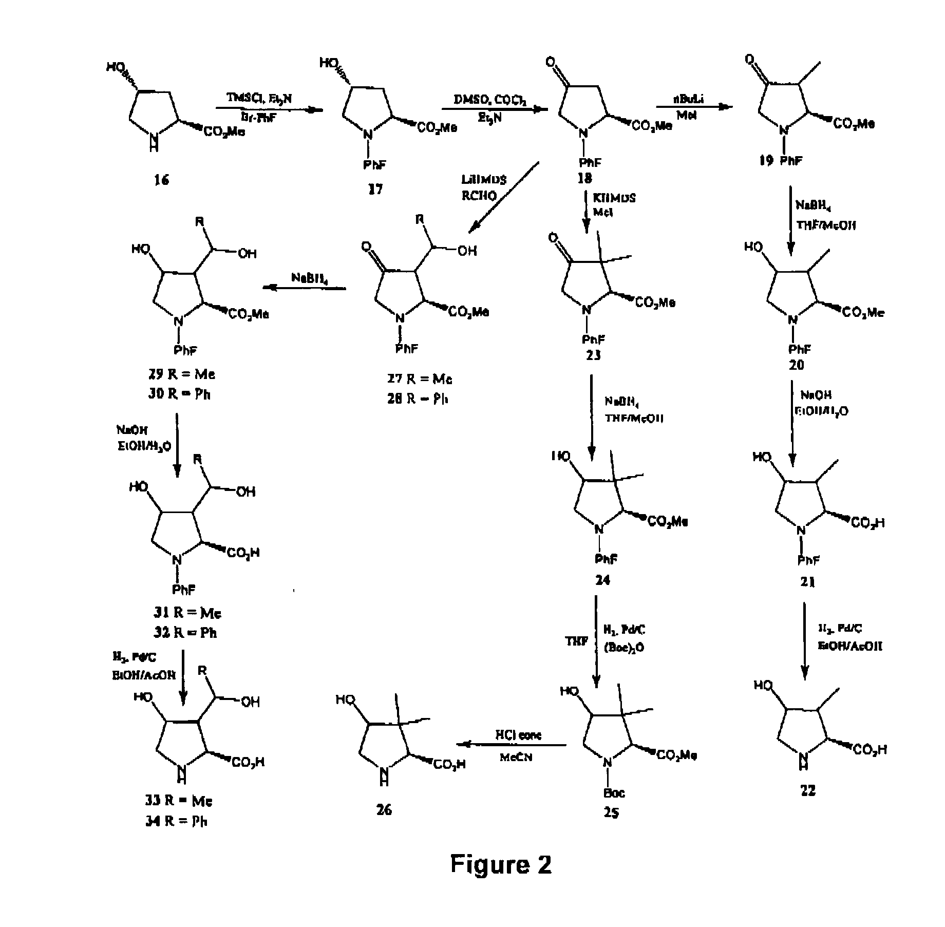 Compounds and Compositions for Use in the Prevention and Treatment of Disorders of Fat Metabolism and Obesity